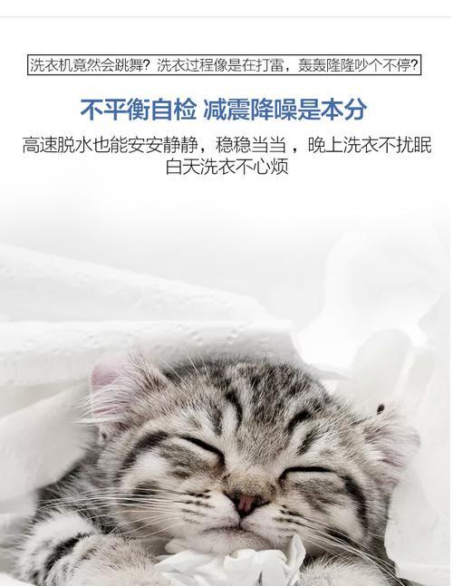 解决西门子洗衣机E21故障码的方法与原因（深入解析西门子洗衣机E21故障码）