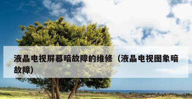 电视显示器开关故障修复指南（掌握维修技巧）