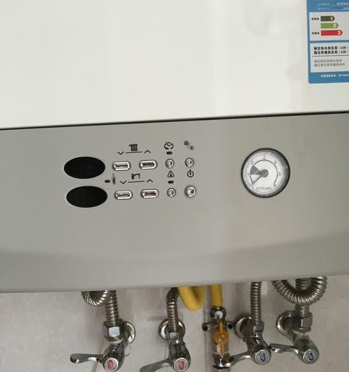 壁挂炉水泵不上水的原因及解决方法（解析壁挂炉水泵不上水的常见问题及排除方法）