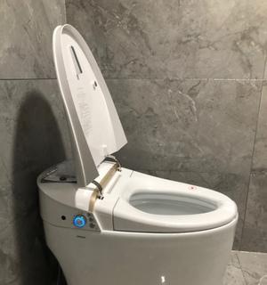 解析箭牌智能马桶灯一直闪烁原因及处理方法（箭牌智能马桶灯闪烁的可能原因和解决办法）