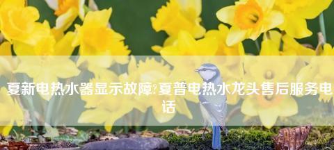夏普电热水器不加热的解决方法（常见故障及自行修复技巧）
