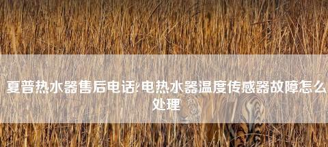 夏普电热水器不加热的解决方法（常见故障及自行修复技巧）