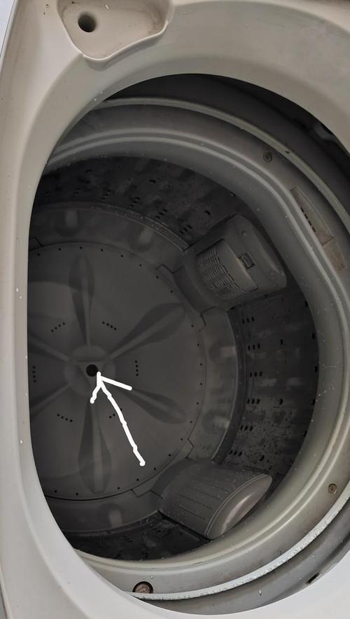 洗衣机没电自己响的原因及解决方法（洗衣机无法工作可能出现的故障与应对措施）
