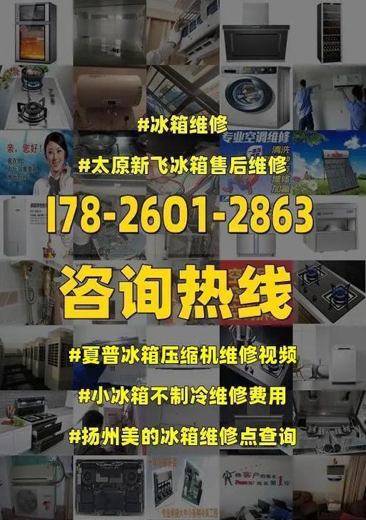 夏普冰箱E9故障代码分析与维修方法（掌握E9故障代码的原因和解决方案）