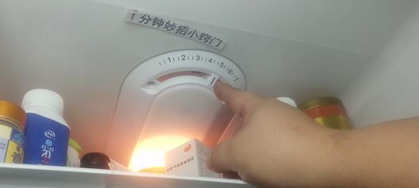 冰箱磁条失去磁性怎么办（解决方法及保养技巧）