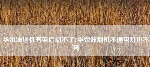 插电油烟机跳闸问题的解决方法（探究插电油烟机跳闸问题的原因和解决方案）