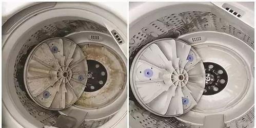滚筒洗衣机清洗失误应对之道（如何处理滚筒洗衣机清洗中出现的问题及解决方法）
