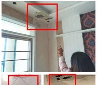 中央空调霉菌问题的处理方法（家庭中央空调霉菌污染如何解决）