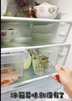 冰箱异味怎么去除？东西坏了如何快速处理异味问题？