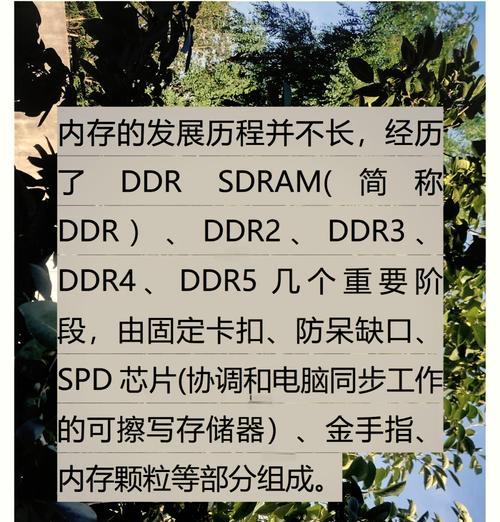 电脑内存类型怎么看？如何判断电脑使用的是哪种内存？