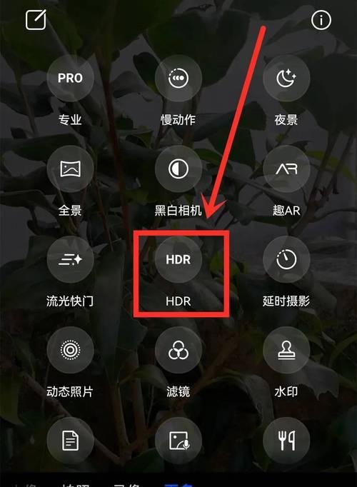 怎么用相机和手机拍照片？如何拍出高质量的照片？