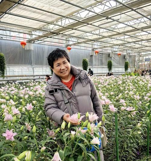 农博园摄像头如何用手机操作？使用指南是什么？